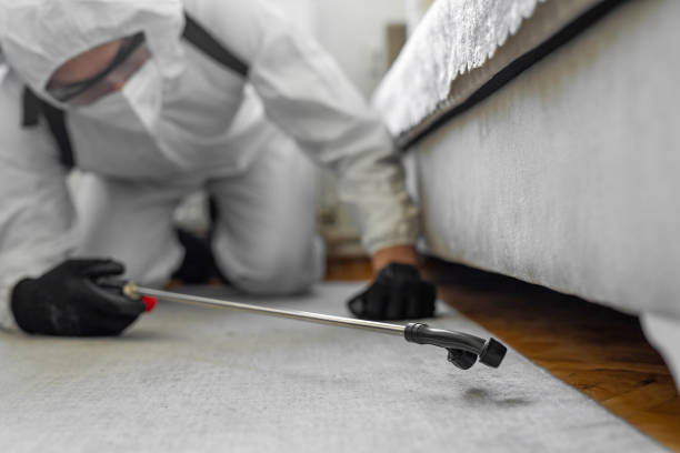 Professional Emergency Pest Control technician working in The College of New Jersey, NJ