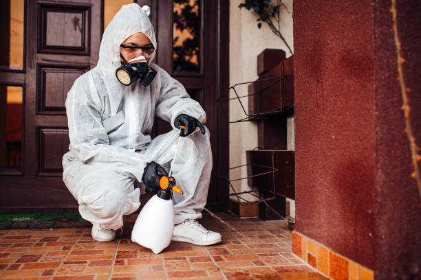 Reliable Emergency Pest Control contractor in The College of New Jersey, NJ by Nex Pest Control