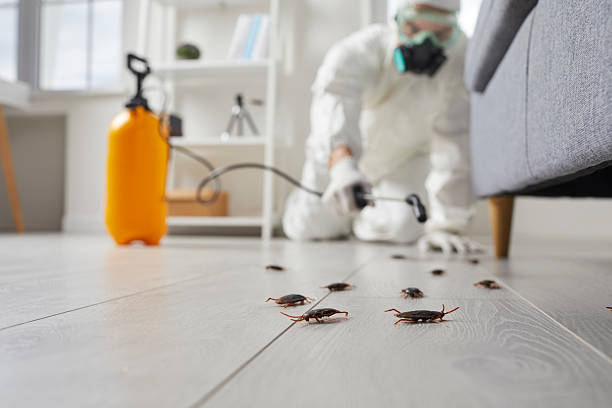 Trusted Cockroach Control service in The College of New Jersey, NJ - Nex Pest Control